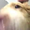 SNIFFSNIFFSNIFFSNIFF