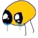 sob