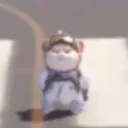 hamster