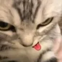 hehe