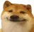 doge