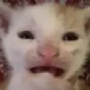 CatAAH