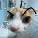AMGeyebrow