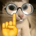 catNerd