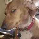 sideeye