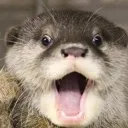 Otter_pog Discord Emoji