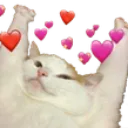 cat_love
