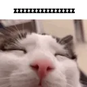 eepysleepy