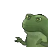 Frog_WorryWdym Frog_WorryWdym