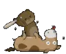 kill
