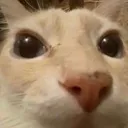 BruhStare