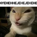 evil_ket evil_ket
