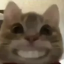 saycheese