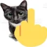 fuckyou fuckyou