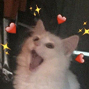 cat_lovehearts Discord emoji