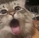 cat_eat_mouth Discord emoji