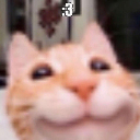 cat_smile3 Discord emoji