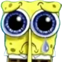 spobsad spobsad