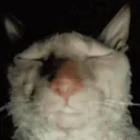 MA_DemonMode