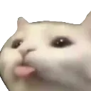 cat_blep