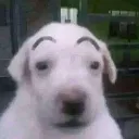 woas