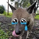 sadstrippy Discord Emoji