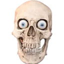 skull20