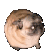 dancingpup
