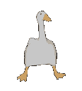 dancduck