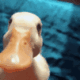 lolduck