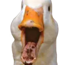 emoji_17