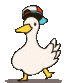 bestduck