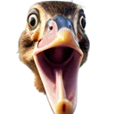 emoji_24