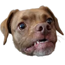 emoji_25