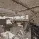isneugency_sandsrom