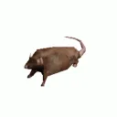 ratspinning