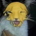 cheesedtomeetyou