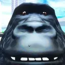 gorilla