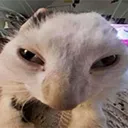 ruh