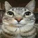 ona