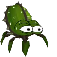 nylocaS nylocaS