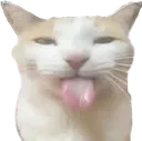 silly