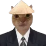 SeniorRice