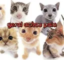 paia