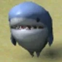 im_shark_stare im_shark_stare