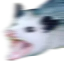 screamsinrat