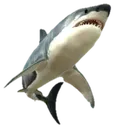 bhkd_epik_shark