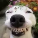 Happyy HAPPYY Discord Emoji