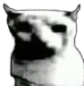 cat_uncanny cat_uncanny
