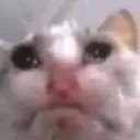 sadguy